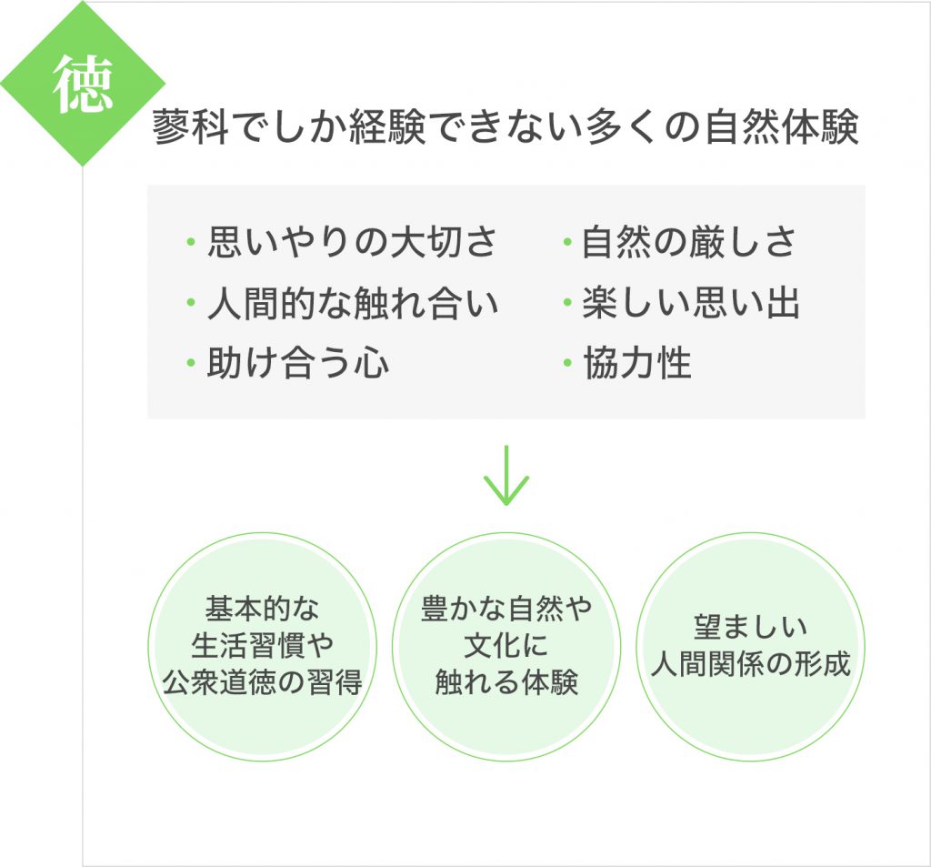 蓼科でしか経験できない多くの自然体験